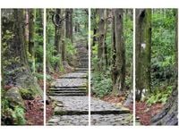 OBRAZ JAPOŃSKA ŚCIEŻKA PRZEZ LAS