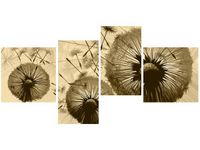 140CM 70 OBRAZ DMUCHAWCE KREMOWYM TLE ŚCIENNY