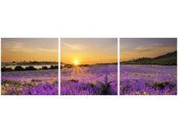 90X30CM POLE LAWENDY TRÓJ OBRAZ