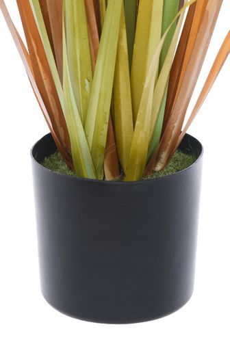 Trawa pionowa Dandelion 70cm na Arena.pl