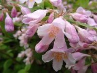 product-compare-61063415