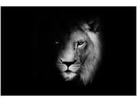 OBRAZ DUCH MROK LEW CIEŃ CZARNO-BIAŁY