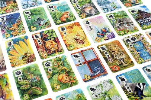 Gra Łąka (Meadow) PL na Arena.pl