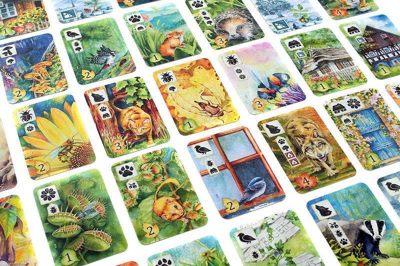 Gra Łąka (Meadow) PL zdjęcie 4