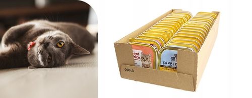 Karma Mokra dla kota Mix Smaków 34x 100g Zestaw Różnych Producentów 3,4 kg na Arena.pl