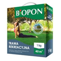 TRAWA REKREACYJNA 1 KG - BR BIO-1112
