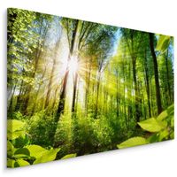Obraz do Sypialni Wschód Słońca w Lesie 3D 90cm x 60cm