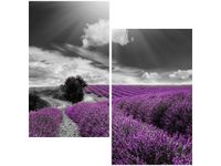 60X60CM LAWENDA DWU OBRAZ ŚCIAN