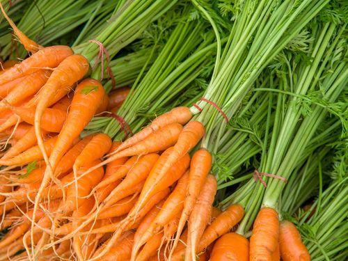 Nasiona Marchew Berlikumer 5g na Arena.pl