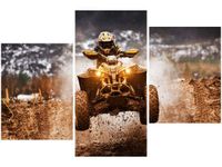 OBRAZ OFFROAD QUAD