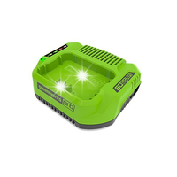 Ładowarka 60V 2A Greenworks G60UC Li-Ion 2A