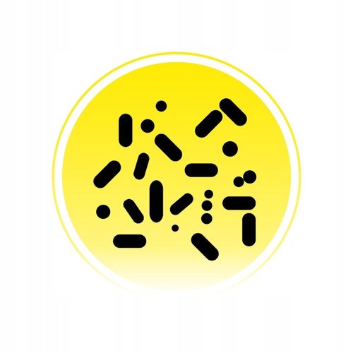 SILNE BAKTERIE do SZAMBA SANIDENN Plus USUWA Zapach Tłuszcz Kożuch na na Arena.pl