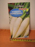 nasiona rzodkiewka sopel lodu pn3881