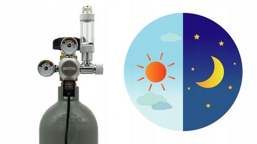 Zestaw CO2 Standard z wył. nocnym 5l z akcesoriami na Arena.pl
