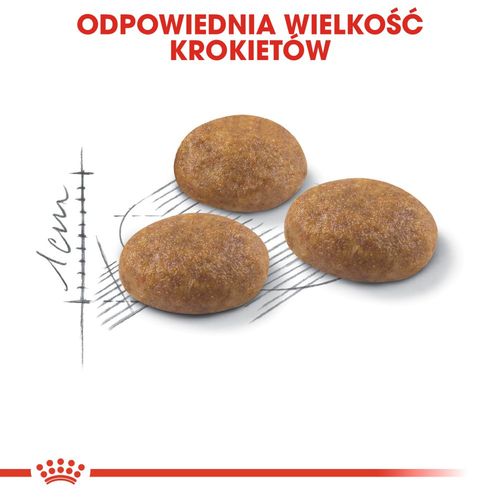 royal canin outdoor 400g na Arena.pl