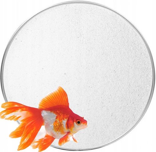 Biały drobny piasek kwarcowy do akwarium 25 KG na Arena.pl