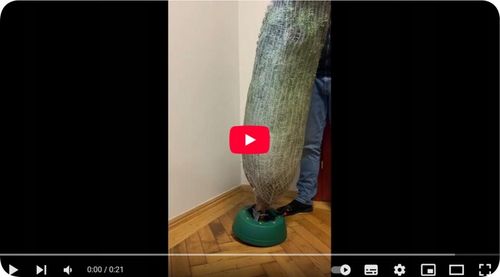 Stojak choinkowy KAMAI SELECT 2 do drzewka 2,5m ze wskaźnikiem wody na Arena.pl