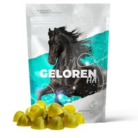 GELOREN HA DLA KONI - smak jabłkowy - saszetka 450g - 60 szt