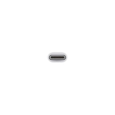 Apple USB-C to USB Adapter na Arena.pl