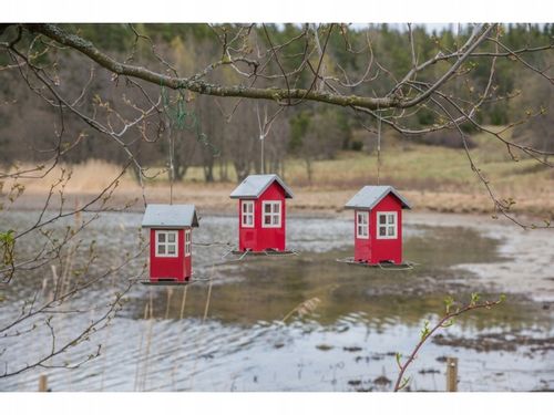 TRIXIE Karmnik Domek pojemnik na karmę ptaków dzikich zimujących papugi 1 L na Arena.pl