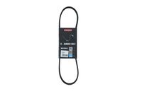 PASEK MICRO-V 4 PK 795 ROVER 400 II 1995 1996 1997 1998 1999 2000
