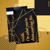FOLIOPAKI KURIERSKIE MOCNE KOPERTY FOLIOWE 255x370 FOR YOU 50szt