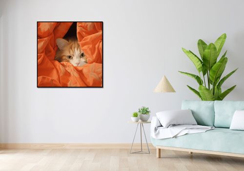 Plakat 90x90cm Ukryty Kot na Arena.pl