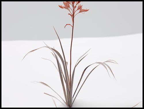 Plakat 100x75cm Subtelność Natury na Arena.pl