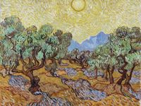Plakat 80x60cm Olive Trees, Van Gogh Vintage do Salonu