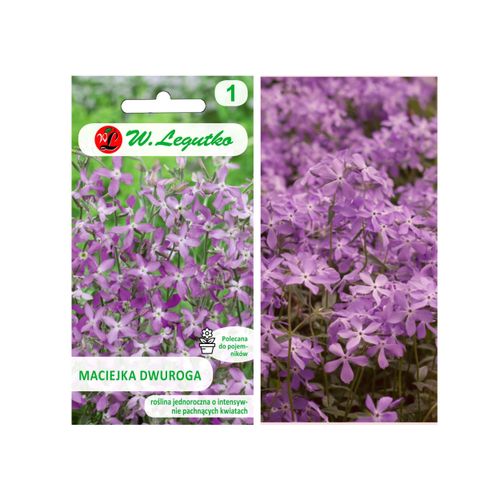 Nasiona Maciejka dwuroga różowolawendowa, 2g na Arena.pl