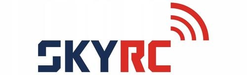 Ładowarka SkyRC D100neo na Arena.pl