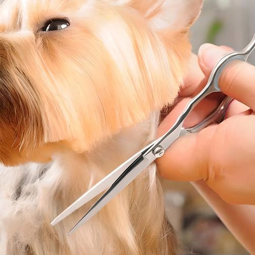 MASZYNKA DO STRZYŻENIA PSA ZWIERZĄT ZESTAW PSÓW BEZPRZEWODOWA CICHA LCD 9W na Arena.pl