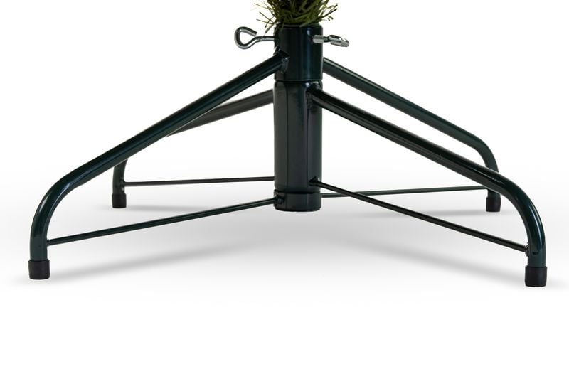 Choinka Jodła Szlachetna 220m zdjęcie 9