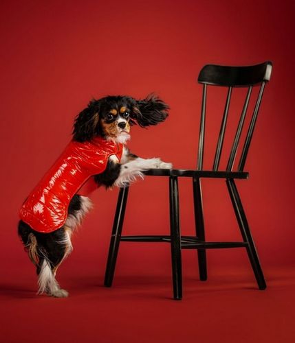 Chaba Kubrak Dopamine 3XL czerwony na Arena.pl