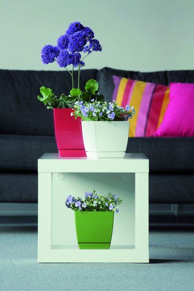 3x Doniczka COUBI + Podstawka Kwietnik Kaktusiarka zdjęcie 4