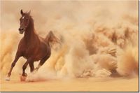 product-compare-58693744