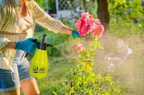 OPRYSKIWACZ CIŚNIENIOWY NO PEST GARDENBLAST PRECISION 2L Z REGULOWANĄ na Arena.pl