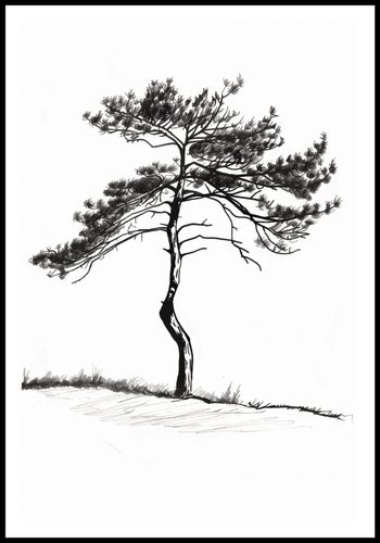 Plakat 61x90,5cm Samotna Sosna na Arena.pl