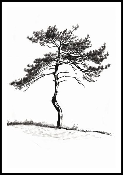 Plakat 61x90,5cm Samotna Sosna zdjęcie 3