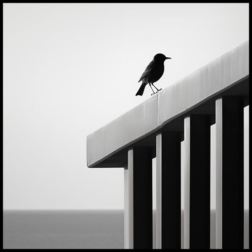 Plakat 80x80cm Samotna Odchłań na Arena.pl