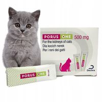 Dechra Porus One dla kota na nerki 30x500 mg