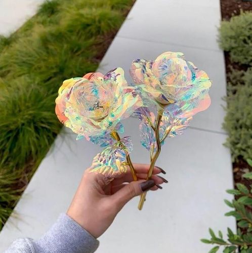 Wieczna róża tęczowa na Arena.pl