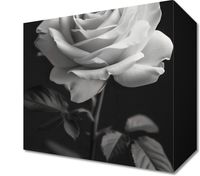 product-compare-59505389