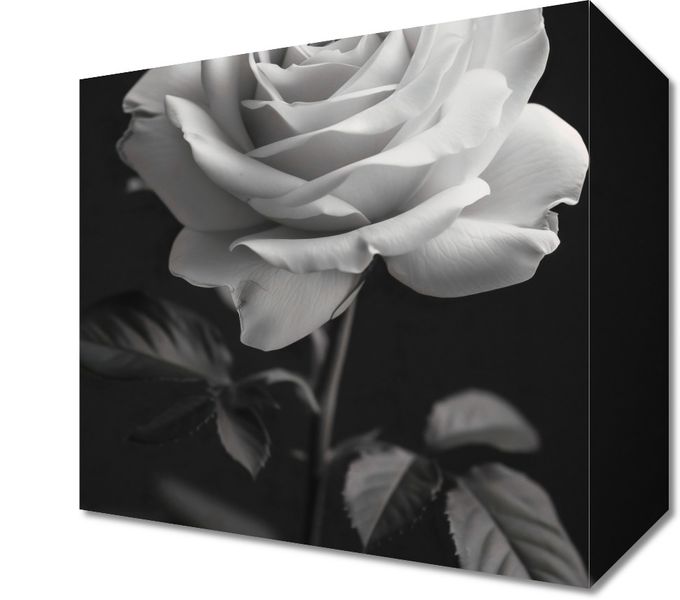 Obraz 20x20cm Płatki Róż zdjęcie 1