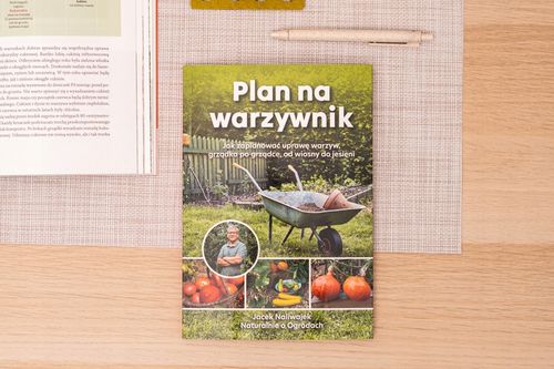 Plan na warzywnik - Jacek Naliwajek na Arena.pl