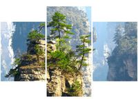 product-compare-58646015