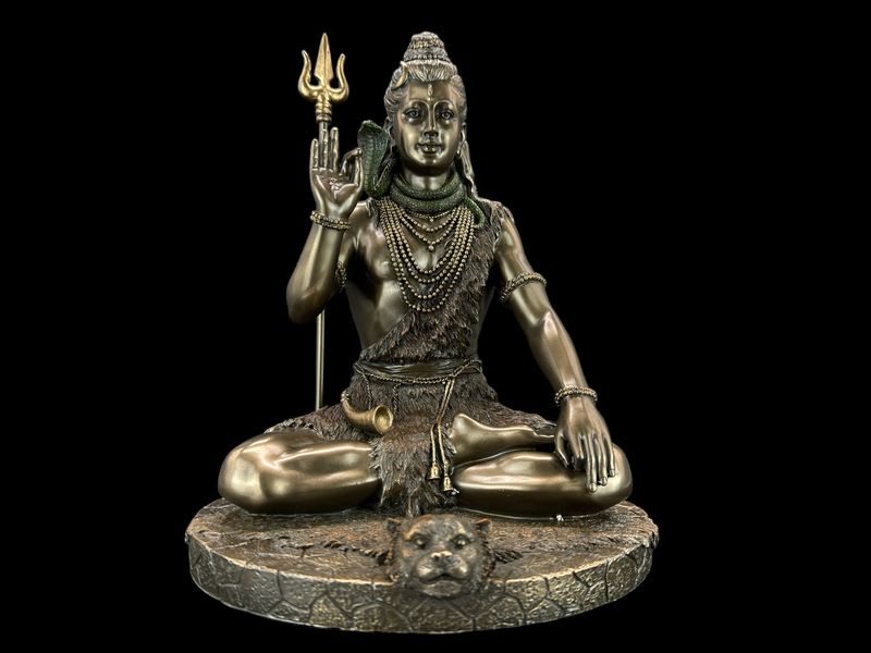 MEDYTUJĄCY SHIVA VERONESE WU76758A4 zdjęcie 1