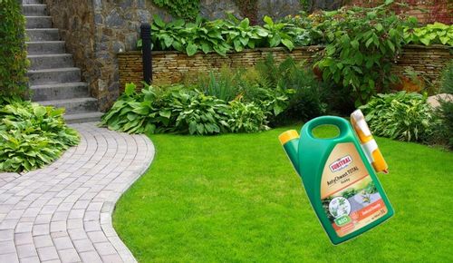 Środek naturalny na chwasty bio Antychwast Total RTU 3l Substral spray na Arena.pl