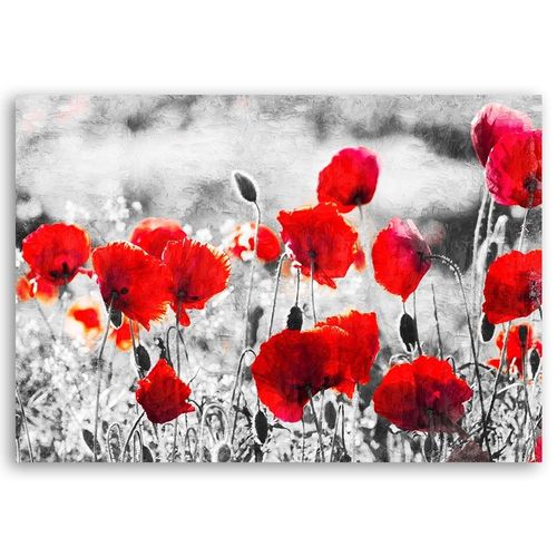 Deco Panel, Czerwone maki 60x40 na Arena.pl