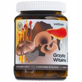 Wellbear Grzyby Witalne Chaga Cordyceps Soplówka Maitake Reishi 60 kaps